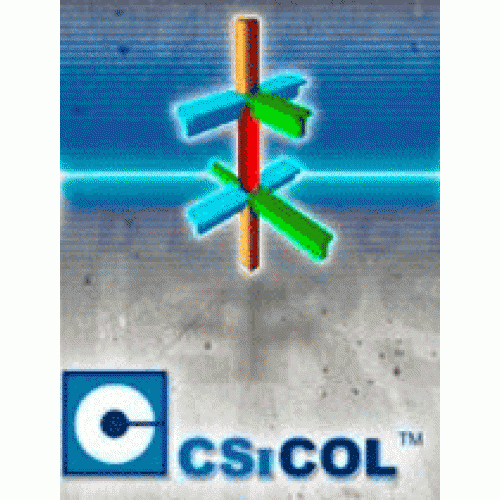 『 Win 』CSI CSiCOL 9.0.1 完美激活